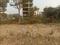 Action Area 2 Plot View 2