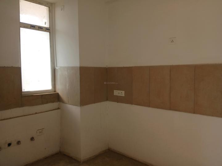 SS The Leaf Main Image 1