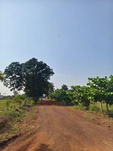 Image of 6000 Sq.ft Residential Plot / Land for sale in Paridhi Nidhivan Farm, Tatibandh, Raipur for Rs. 2850000