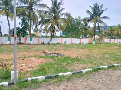 Angadu Plot View 2