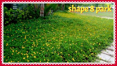 Image of 800 Sq.ft Residential Plot / Land for sale in Halasuru, Bengaluru for Rs. 1199200