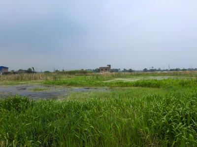 Image of 720 Sq.ft Residential Plot / Land for sale in Wander Valley, Joka, Kolkata for Rs. 250111