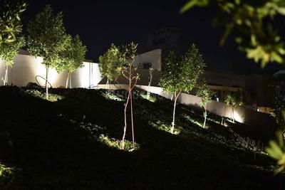 Image of 900 Sq.ft Residential Plot / Land for sale in Luniyawas, Jaipur for Rs. 1000000