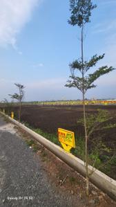 Image of 133 Sq.ft Residential Plot / Land for sale in Kankipadu, Vijayawada for Rs. 1994867