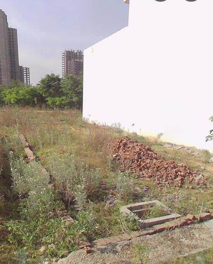Sector 37 Main Image 1
