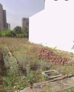 Sector 37 Plot View 1
