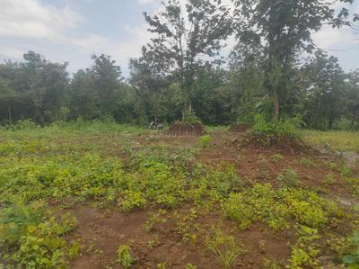 Image of 163350 Sq.ft Residential Plot / Land for sale in Murbad, Thane for Rs. 75000000