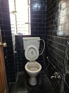 Bathroom Image of 550 Sq.ft 1 BHK Apartment / Flat for rent in Andheri West Mumbai for Rs. 64000