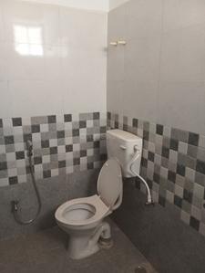 Bathroom Image of 1088 Sq.ft 3 BHK Apartment / Flat for sale in Raj Group Bhopal Raj Tulip Apartments, Minal Residency Bhopal for Rs. 5500000