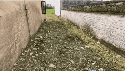 Mishriwala Plot View 3