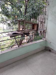 Balcony Image of 900 Sq.ft 2 BHK Apartment / Flat for sale in Lake Gardens Kolkata for Rs. 6000000
