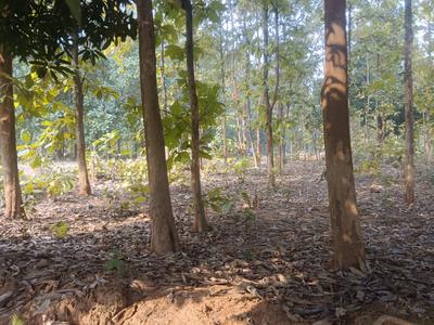 Image of 90000 Sq.ft 12 BHK Farm House for sale in R P Nagar 1, Korba for Rs. 1200000