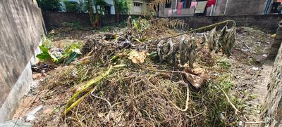 Image of 1800 Sq.ft Residential Plot / Land for sale in Behala Chowrasta, Kolkata for Rs. 12500000