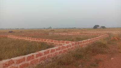 Image of 2000 Sq.ft Residential Plot / Land for sale in Nayapalli, Bhubaneswar for Rs. 1600000