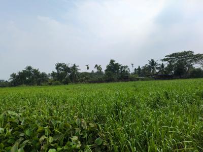 Image of 720 Sq.ft Residential Plot / Land for sale in Wander Valley, Joka, Kolkata for Rs. 305555