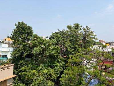 Image of 1500 Sq.ft 3 BHK Apartment / Flat for sale in Lake Gardens, Kolkata for Rs. 7000000