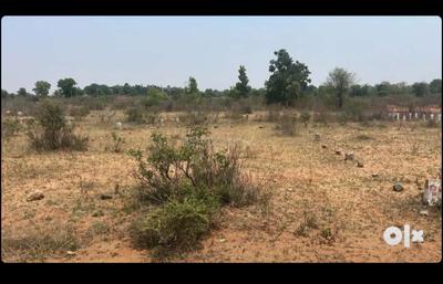 Residential Plot