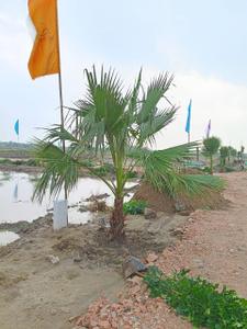 Image of 1800 Sq.ft Residential Plot / Land for sale in Bagru, Jaipur for Rs. 1800000