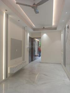 Hall Image of 850 Sq.ft 2 BHK Builder Floor for sale in Shalimar Bagh New Delhi for Rs. 13500000
