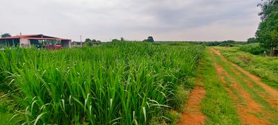 Image of 43560 Sq.ft Residential Plot / Land for sale in Kandukur, Hyderabad for Rs. 15000000