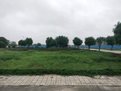 Image of 1260 Sq.ft Residential Plot / Land for sale in Soha Neal City, Sector 98, Faridabad for Rs. 18200000