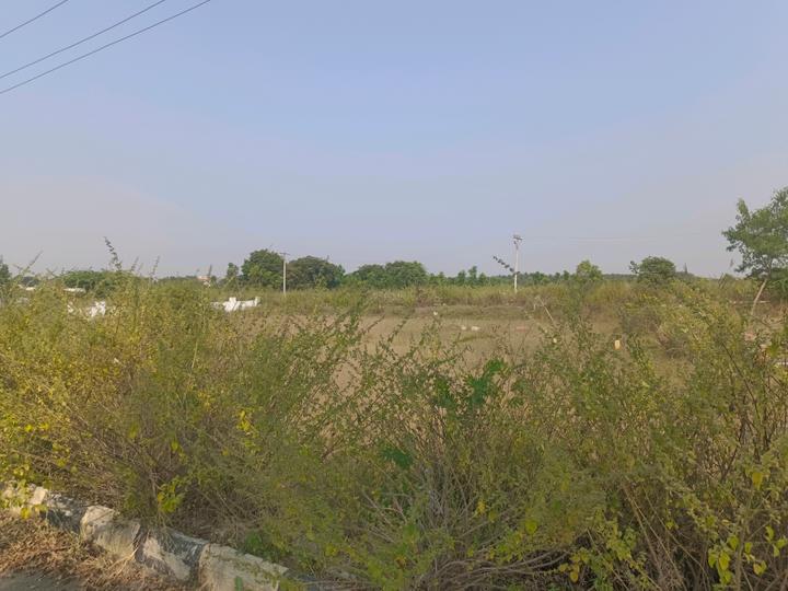 Devender Colony Plot View 1