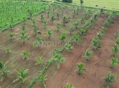 Image of 6001 Sq.ft Residential Plot / Land for sale in Hunsur, Mysore for Rs. 3615000