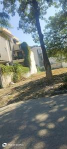 Image of 538 Sq.ft Residential Plot / Land for sale in DLF Alameda, Sector 73, Gurgaon for Rs. 165000000