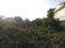 Pocket F Plot View 2