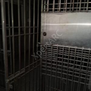 Balcony Image of 2000 Sq.ft 6 BHK Builder Floor for sale in Shahdara New Delhi for Rs. 19829000