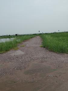 Image of 50 Sq.ft Residential Plot / Land for sale in Silani, Gurgaon for Rs. 750000