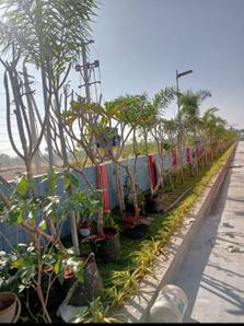 Image of 895 Sq.ft 2 BHK Apartment / Flat for sale in Abode Eden Homes, Dammaiguda, Secunderabad for Rs. 3849000