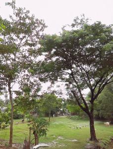 Image of 732 Sq.ft Residential Plot / Land for sale in IIT Guwahati, Guwahati for Rs. 8000000