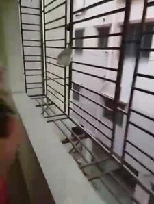 Balcony Image of 900 Sq.ft 3 BHK Apartment / Flat for sale in Rajarhat Kolkata for Rs. 3000000