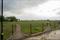 Pocket G, Sector 20 Plot View 2