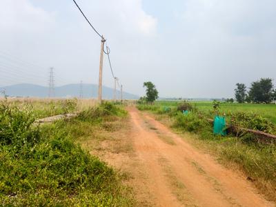 Image of 2000 Sq.ft Residential Plot / Land for sale in Argul, Bhubaneswar for Rs. 1600000