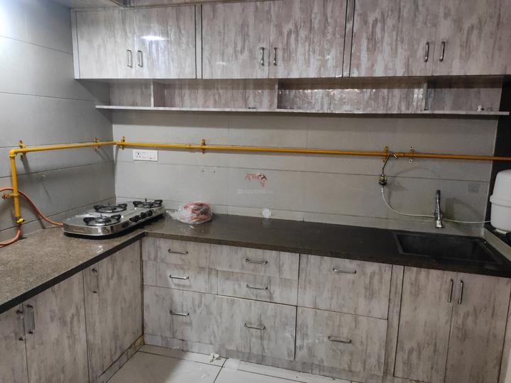 Gala Marigold Main Image 1