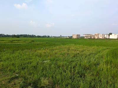 Image of 1440 Sq.ft Residential Plot / Land for sale in Asha Enclave, New Town, Kolkata for Rs. 2400000