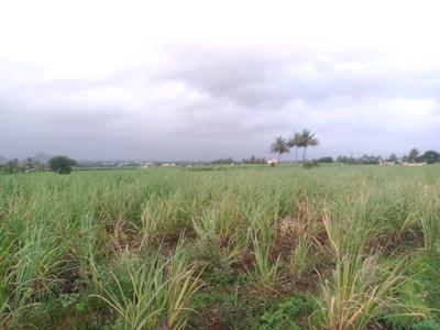 Image of 1089 Sq.ft Residential Plot / Land for sale in Belondakhar, Navi Mumbai for Rs. 850000