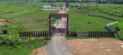 Costarica Palm Yard Plot View 1
