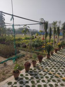 Image of 1502 Sq.ft 3 BHK Apartment / Flat for sale in Pardos Okas Residency, Sushant Golf City, Lucknow for Rs. 11500000