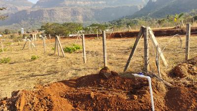 Image of 22000 Sq.ft Residential Plot / Land for sale in Shahapur, Thane for Rs. 5500000