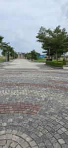 Image of 800 Sq.ft Residential Plot / Land for sale in Sky Green City, Bada Bangarda, Indore for Rs. 3600000