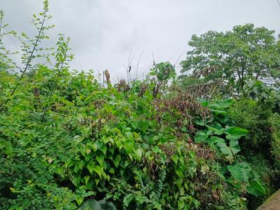 Image of 7000 Sq.ft Residential Plot / Land for sale in Kaikamba, Mangalore for Rs. 6500000