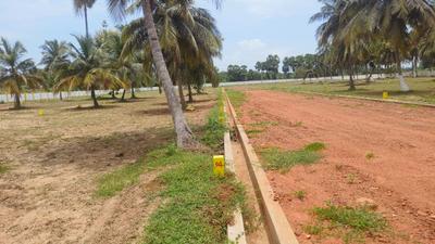 Image of 150 Sq.ft Residential Plot / Land for sale in Kothavalasa, Vizianagaram for Rs. 975000