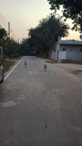 Image of 300 Sq.ft Residential Plot / Land for sale in Sector 71, Noida for Rs. 65000000