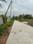 Apparent JB Garden Internal Roads 2