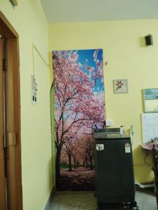 Hall Image of 1060 Sq.ft 2 BHK Independent House for rent in Kokar Ranchi for Rs. 25000