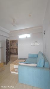 Hall Image of 530 Sq.ft 1 BHK Apartment / Flat for rent in Gaurs 14th Avenue, Noida Extension Greater Noida for Rs. 22000