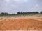 Hoskote Plot View 2